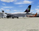 ai_mex_09.jpg