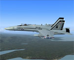 images/hornet02thumb.jpg